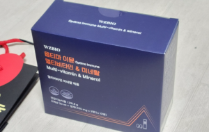 옵티마 이뮨 여행후기2